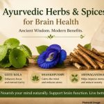 Ayurvedic Herbs and Spices Highlighted for Potential Brain Health Benefits