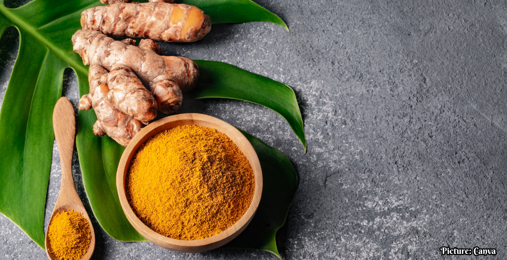 GNN Evaluating the Health Benefits of Turmeric and Curcumin A Closer Look
