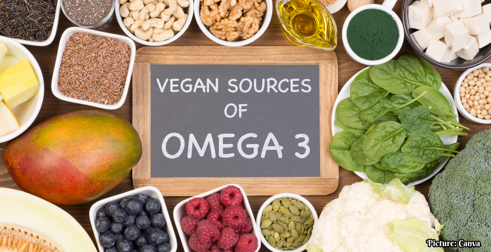 GNN Exploring Plant Based Sources of Omega 3 Fatty Acids A Guide for Vegetarians and Health Conscious Consumers