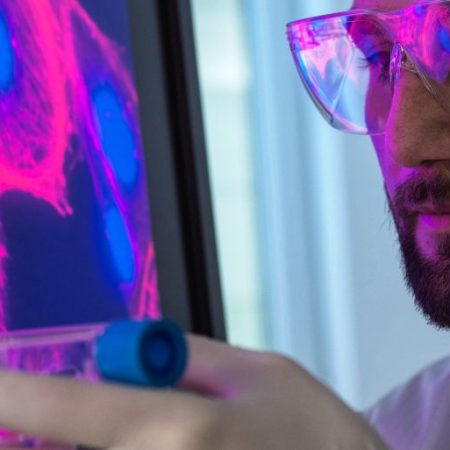 GNN NIH Unveils Comprehensive Atlas of Senescent Cells to Advance Aging Research