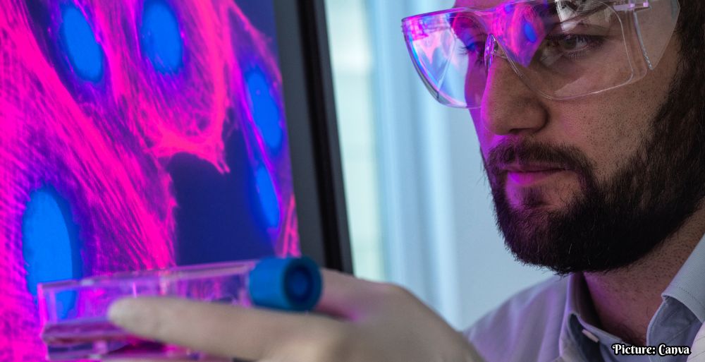 GNN NIH Unveils Comprehensive Atlas of Senescent Cells to Advance Aging Research