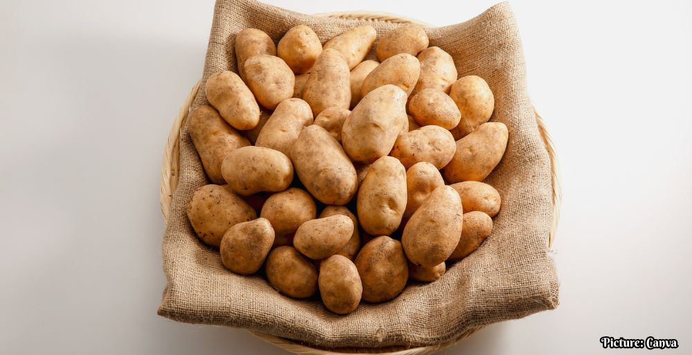 GNN Public Health Agencies Weigh Nutritional Profiles of Starchy Staples as Dietitians Compare Rice and Potatoes