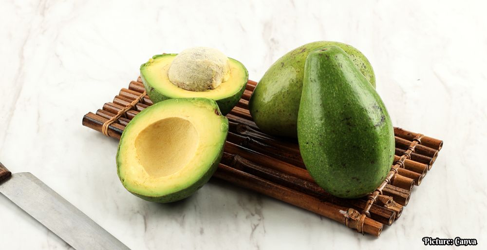 GNN Study Investigates the Impact of Daily Avocado Consumption on Dietary Glycemic Load