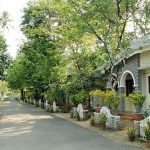Healthandwellness — Charakas Ayurveda Hospital in Kerala A Legacy of Holistic Healing and Integrative Care — The Vision of Dr P A George Pottayil