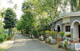 Healthandwellness — Charakas Ayurveda Hospital in Kerala A Legacy of Holistic Healing and Integrative Care — The Vision of Dr P A George Pottayil