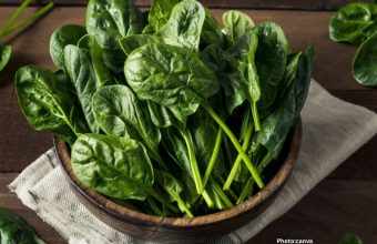 Registered Dietitians Recommend Six Greens to Enhance Gut Health