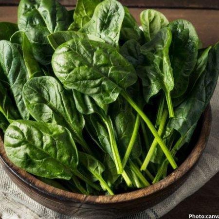 Registered Dietitians Recommend Six Greens to Enhance Gut Health