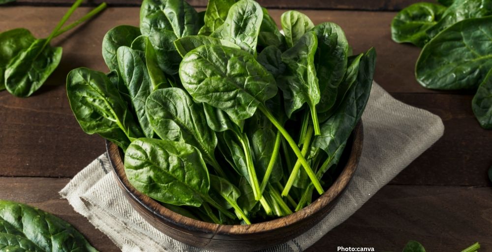 Registered Dietitians Recommend Six Greens to Enhance Gut Health