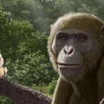 GNN Discovery of Ancient Ape Fossil in Egypt Reshapes Understanding of Human Origins