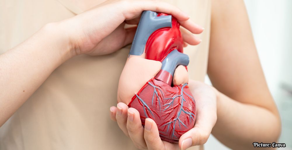 GNN Emerging Clinical Evidence Highlights Evolving Cardiovascular Risks in South Asian Populations