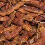 GNN Examining the Role of Tamarind in Digestive Health Benefits and Limitations