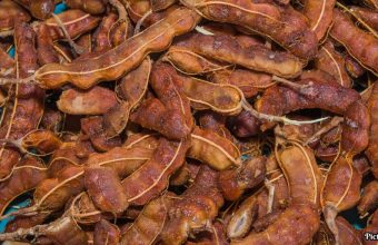 GNN Examining the Role of Tamarind in Digestive Health Benefits and Limitations