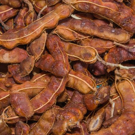 GNN Examining the Role of Tamarind in Digestive Health Benefits and Limitations