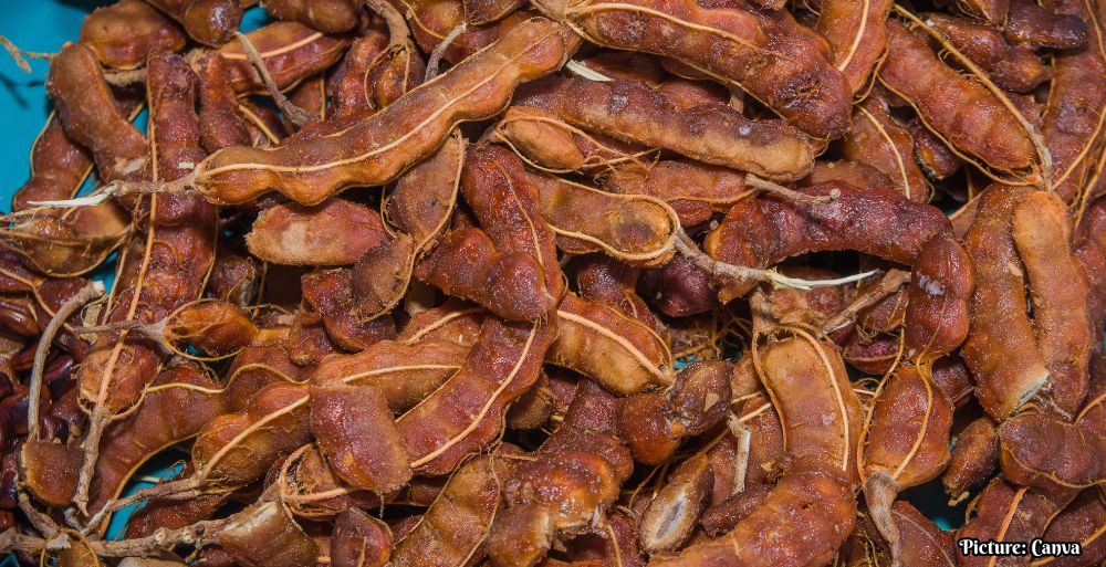 GNN Examining the Role of Tamarind in Digestive Health Benefits and Limitations