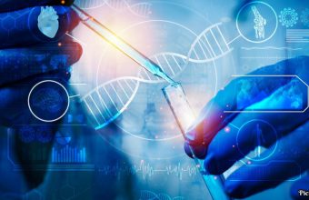 GNN Harvard Researchers Develop Silicon Chip for Parallel DNA Synthesis