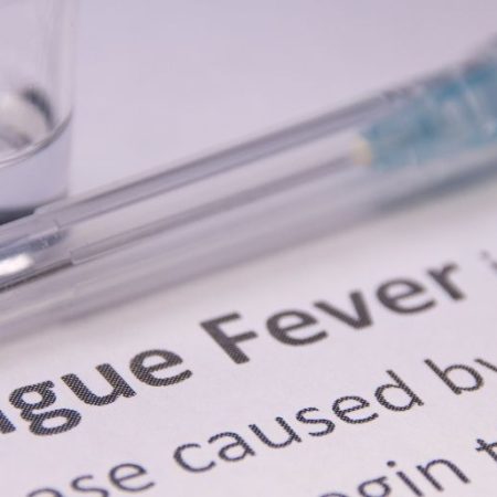 GNN India Approves First Dengue Vaccine QDENGA for Ages 4 to 60