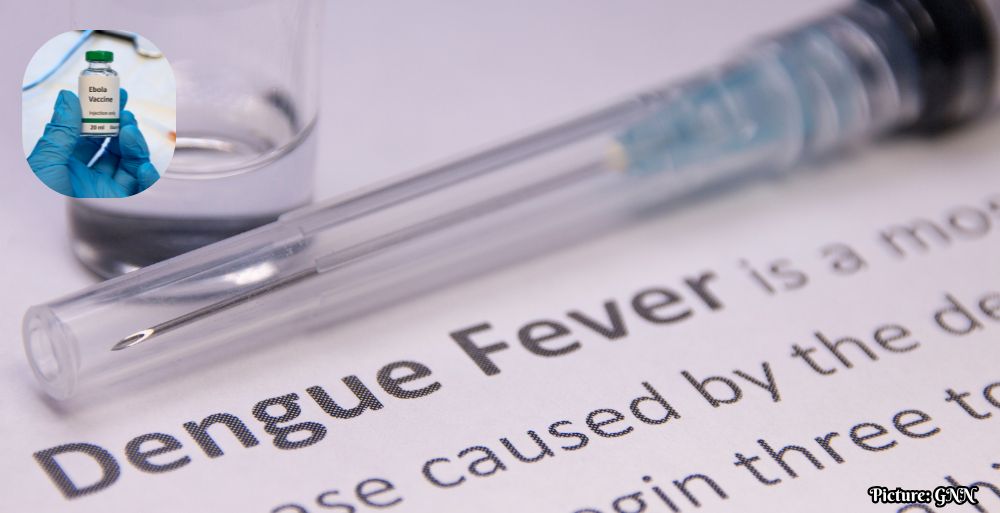 GNN India Approves First Dengue Vaccine QDENGA for Ages 4 to 60
