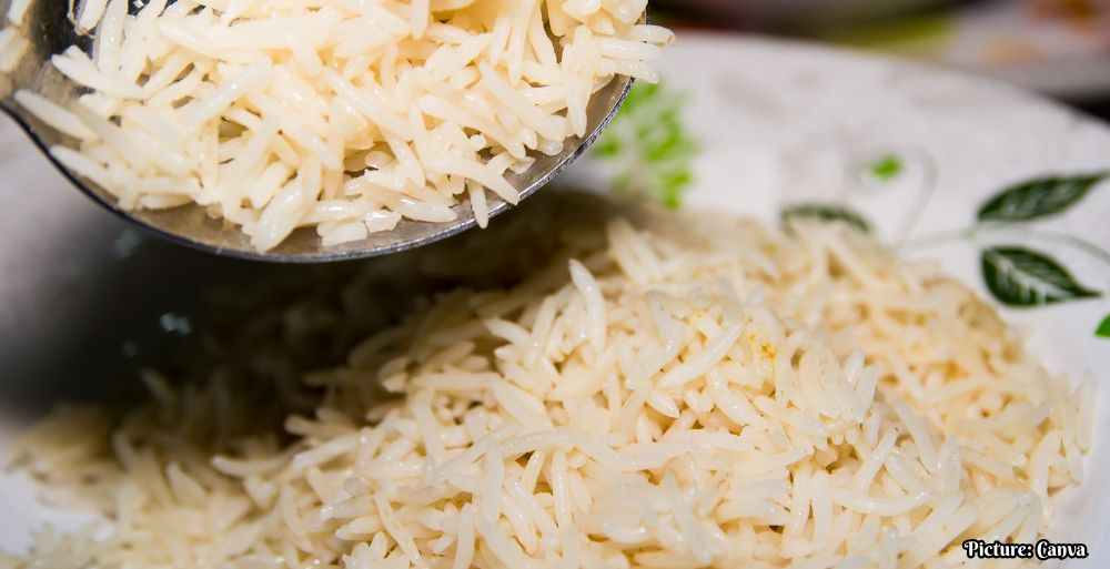 GNN India Showcases Culinary Heritage at Summer Fancy Food Show 2026 with Record Participation