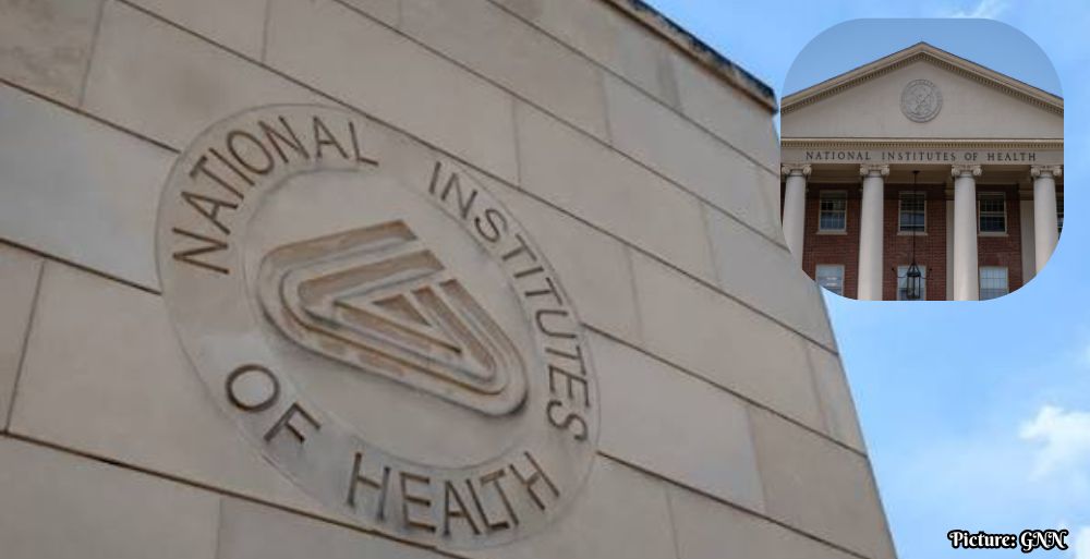 GNN N I H Unveils World's Largest Integrated Health Database Expanding Horizons for Personalized Medicine