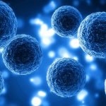 GNN New Stem Cell Research Aims for Functional Cure of Type 1 Diabetes