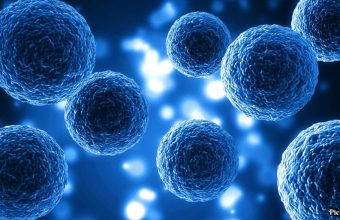 GNN New Stem Cell Research Aims for Functional Cure of Type 1 Diabetes