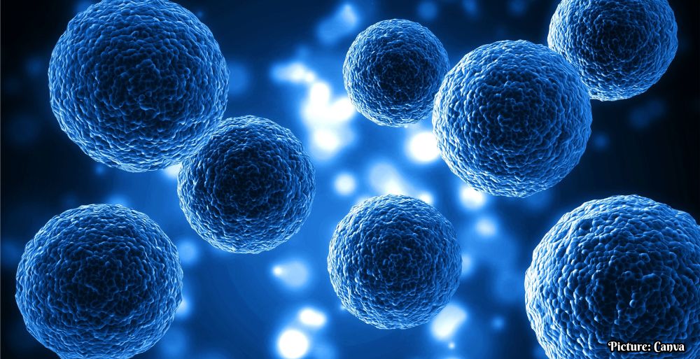 GNN New Stem Cell Research Aims for Functional Cure of Type 1 Diabetes