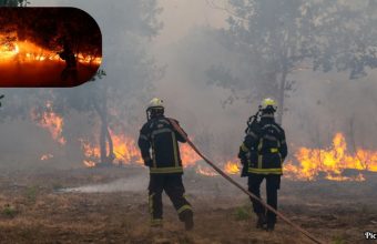 GNN Over 200 000 Evacuated in France and Spain as Wildfires Rage Amid Climate Crisis