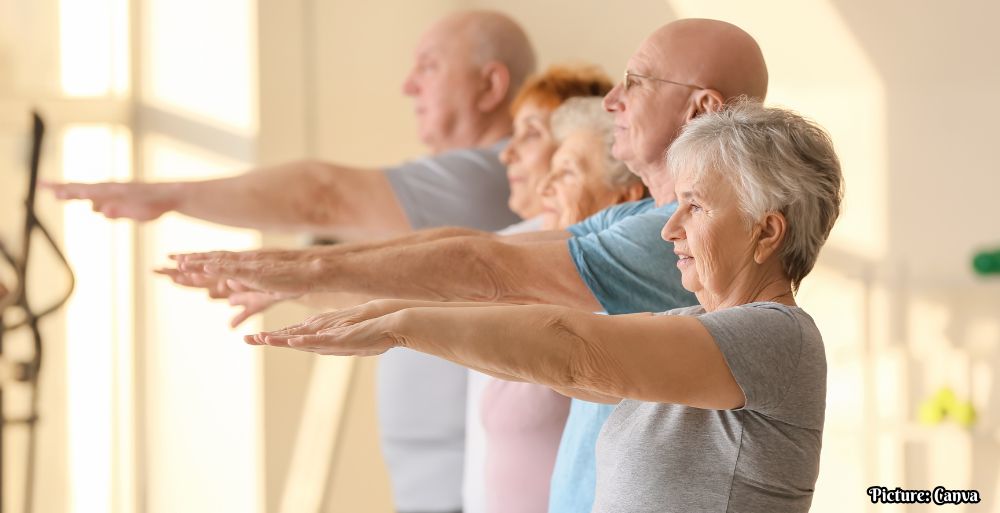 GNN Power Training A Key Component for Healthy Aging in Older Adults
