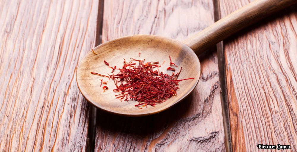 GNN Saffron Derived Compound Crocin II Shows Potential in Treating Metabolic Associated Steatotic Liver Disease