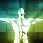 GNN The Impact of Appearance on Confidence and Success