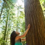Research Highlights Practical Strategies for Enhancing Connection with Nature GNN connection with nature