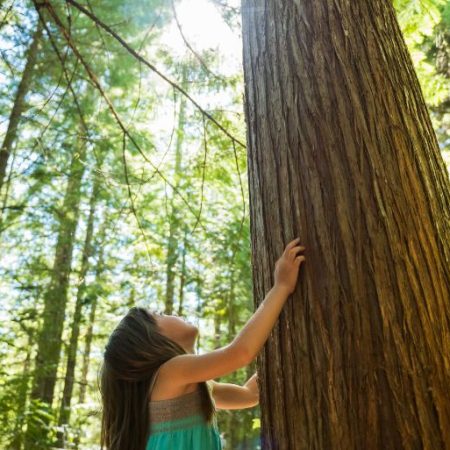 GNN connection with nature