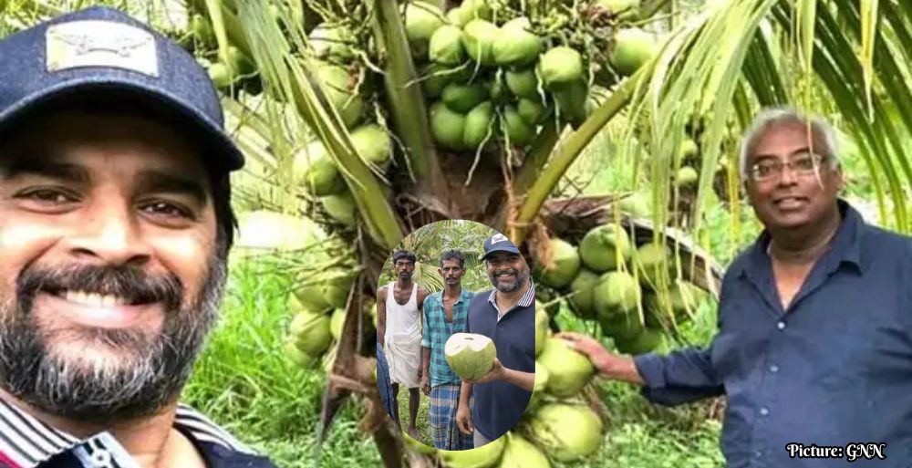 GNN Actor R Madhavan Transforms Barren Land into Thriving Coconut