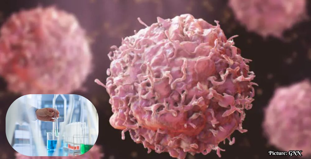 GNN Cancer Drug