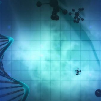GNN Chinese Clinical Trial Reports Promising Results for Stem Cell Therapy in Heart Failure Patients