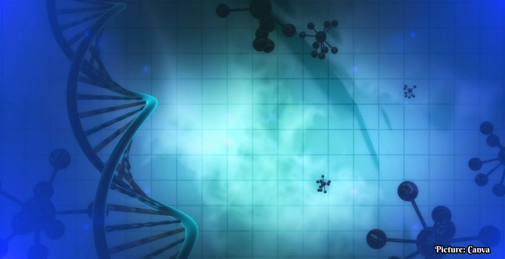 GNN Chinese Clinical Trial Reports Promising Results for Stem Cell Therapy in Heart Failure Patients
