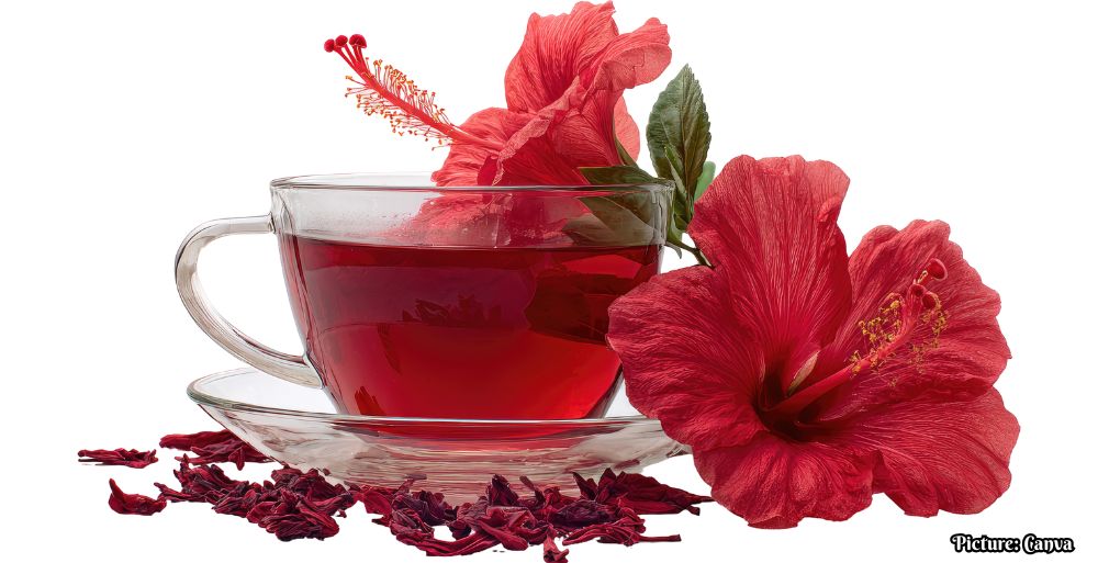 GNN Dietitians Recommend Hibiscus Tea for Managing High Blood Pressure