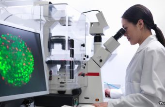 GNN New Research Uncovers Role of TRF2 Protein in Muscle Stem Cell Function and Regeneration