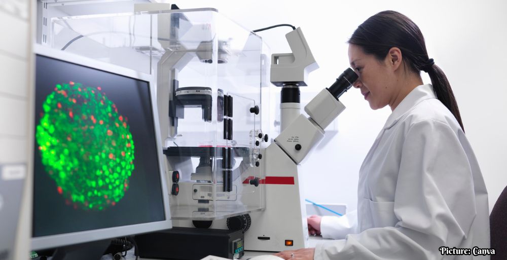 GNN New Research Uncovers Role of TRF2 Protein in Muscle Stem Cell Function and Regeneration