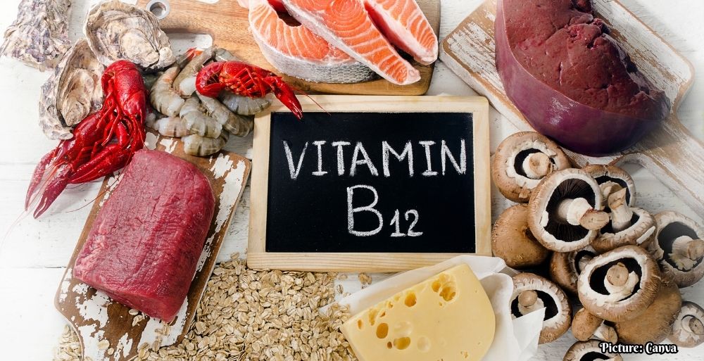 GNN Research Breakthrough Spirulina as a Sustainable Source of Vitamin B12