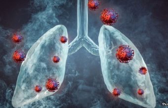 GNN Study Reveals Genetic Insights into Lung and Autoimmune Diseases