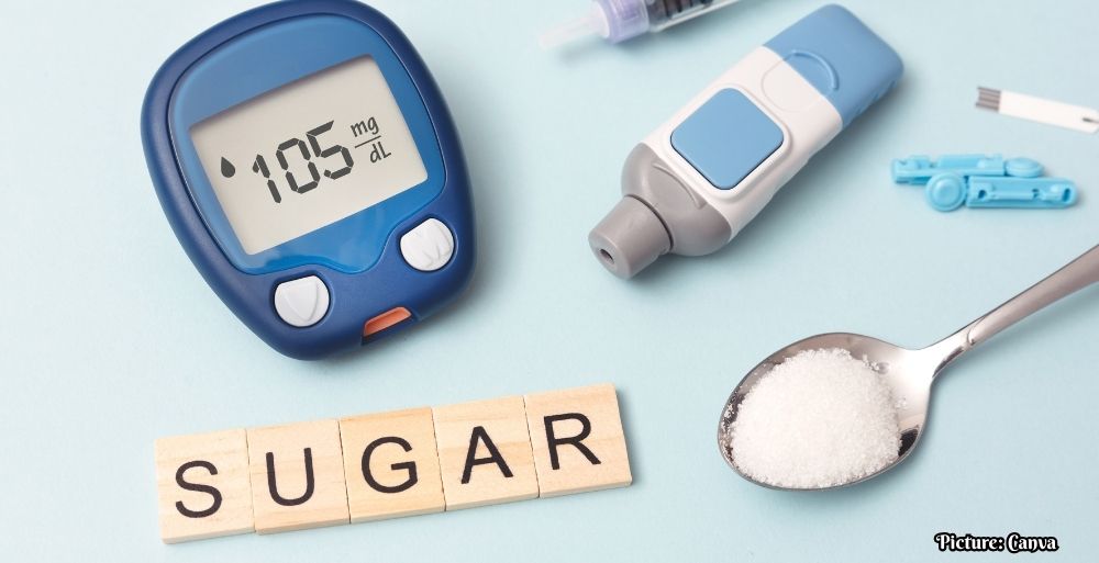 GNN Understanding Blood Sugar Management in Type 2 Diabetes