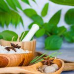 GNN WHO Begins Integration of Ayurveda Siddha and Unani into Global Health Framework