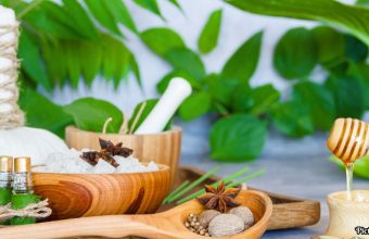 GNN WHO Begins Integration of Ayurveda Siddha and Unani into Global Health Framework