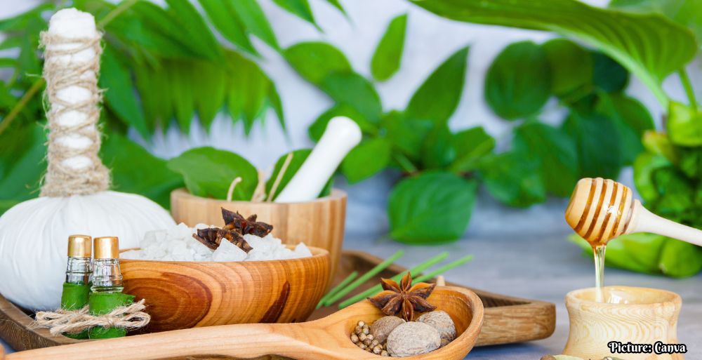 GNN WHO Begins Integration of Ayurveda Siddha and Unani into Global Health Framework