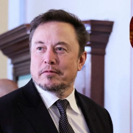 GNN elon musk