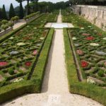 Vatican Gardens Transition to 100% Organic Cultivation Under Pope Francis’ Guidance GNN vatican garden