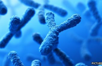 GNN Loss of Y Chromosome in Men Linked to Cancer Development