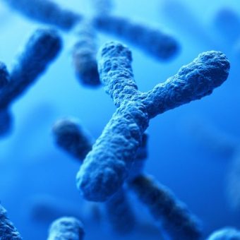 GNN Loss of Y Chromosome in Men Linked to Cancer Development
