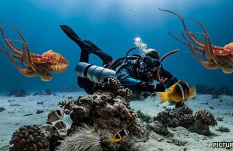 GNN Lucinda Southworths Oceankind Donates Over 120 Million to Marine Conservation Efforts